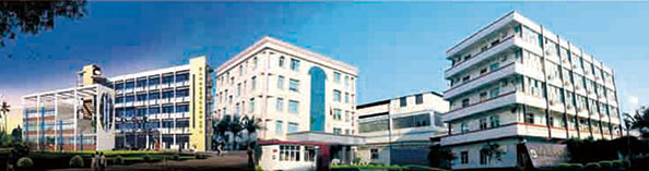 興業(yè)皮革科技股份有限公司在深交所成功上市（1992年，公司參股興業(yè)皮革廠，成為主要股東之一）。